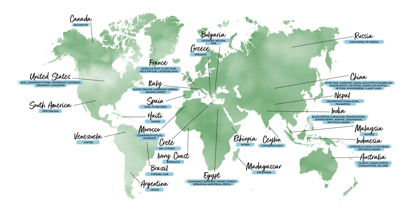 World map in green watercolor marking the regions where the oils are grown