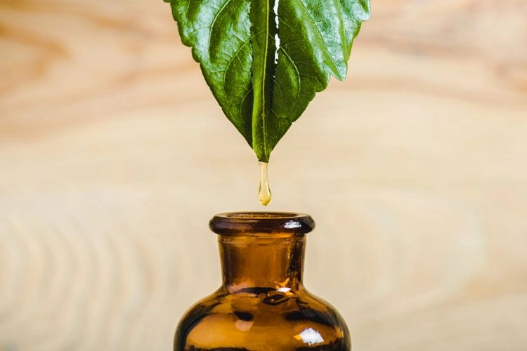 A drop falling from a leaf into an amber dropper bottle